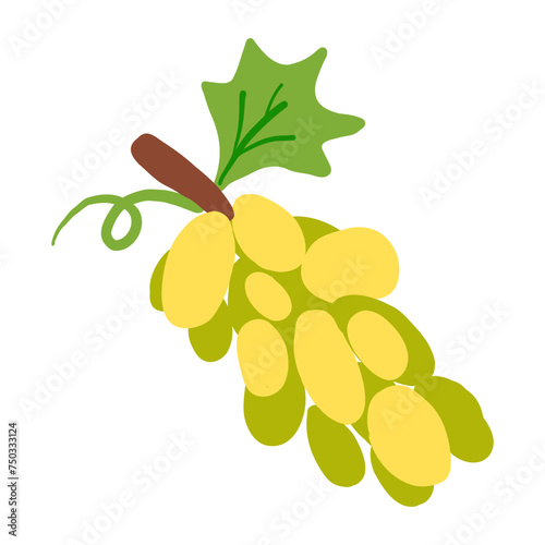 Yellow grape branch flat vector icon isolated on white, Organic fresh healthy fruit food ingredient, decorative sign berry for design pattern, healthy green market, European restaurant menu
