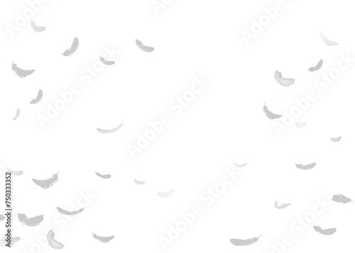 White feathers floating in the air, white feathers isolated on transparent background © shahadatarman 0