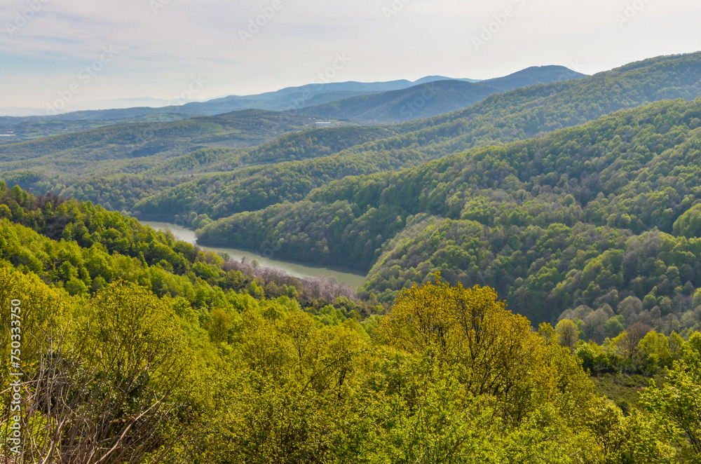 Fototapeta premium scenic view of Gökçe Reservoir inlet and mountains in spring near Termal (Yalova, Turkey)