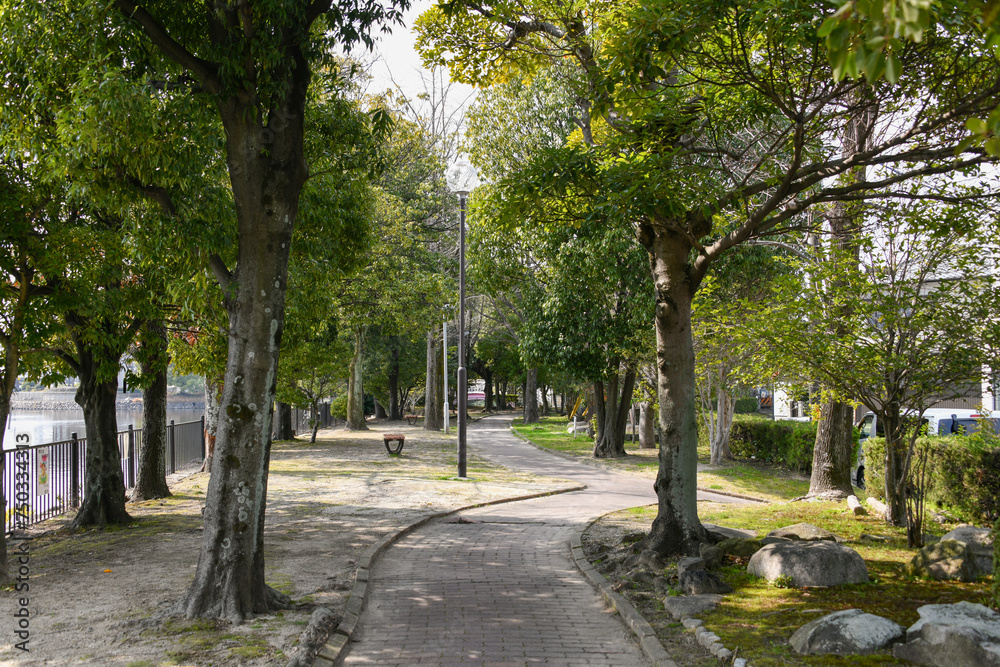 新緑に包まれた公園