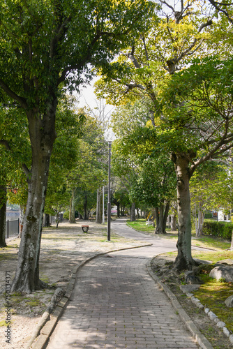 新緑に包まれた公園
