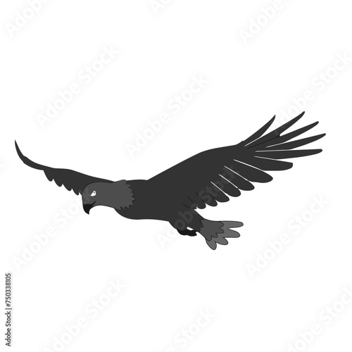 eagle in flying
