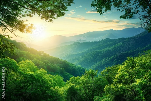 A beautiful mountain range with a bright sun shining through the trees