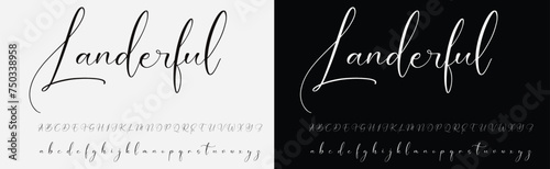 signature Font Calligraphy Logotype Script Brush Font Type Font lettering handwritten