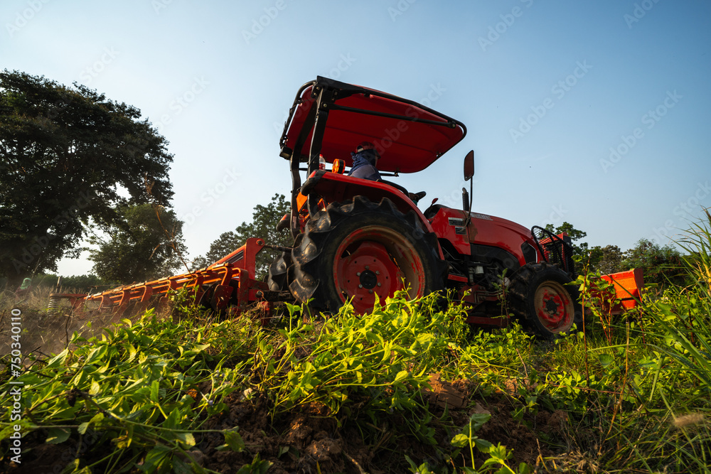 Obraz premium Tractor plows the land and prepares to plant cassava. Farm and Agriculture concept.