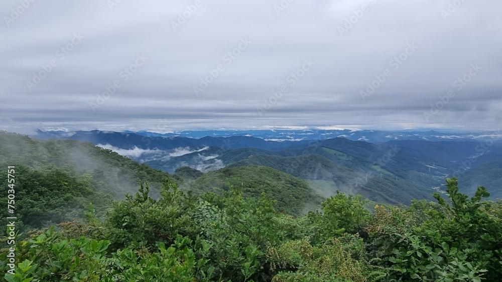 Fototapeta premium 산의 아름다움