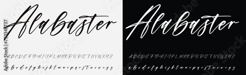 Signature Font Calligraphy Logotype Script Brush Font Type Font lettering handwritten