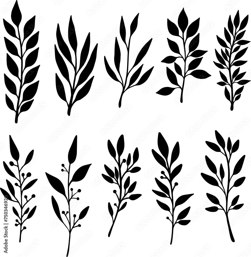 Fototapeta premium Set of hand drawn floral branches. Design element for decoration. Vector illustration