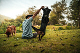 dog happy jumps and grabs dog treats on his owner's hand. Pet family, Food, snacks concept.