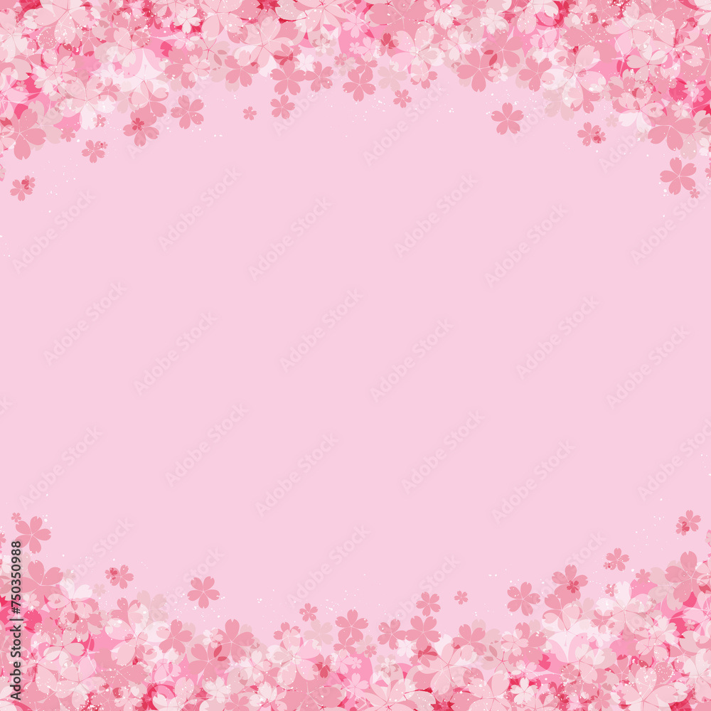 ピンクの桜の花の上下フレーム
