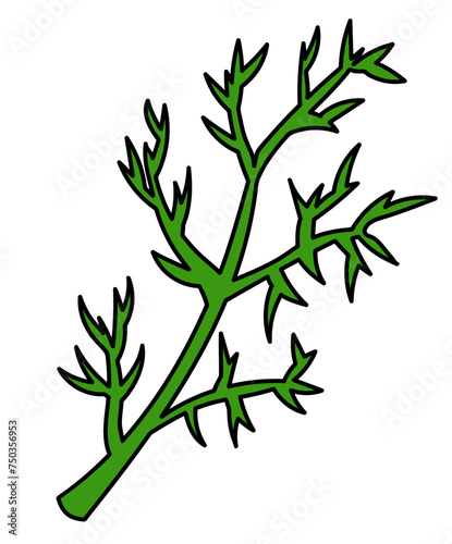 Dill twig Herb. Spice, condiment and herb. Kitchen cooking. Food Doodle icon, logo, sticker. Vector flat illustration.