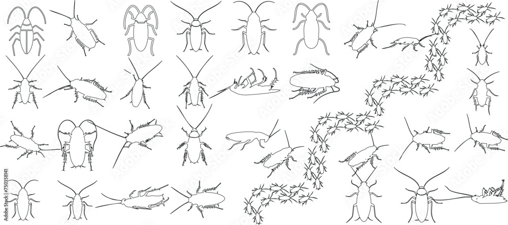 Fototapeta premium Detailed cockroach sketches, perfect for entomology enthusiasts, educational materials, artistic inspiration. Collection of insect drawings showcasing diversity and intricacy