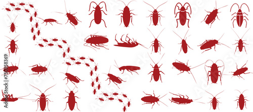 Red cockroach vector illustrations, diverse poses of Cockroach, isolated white background, pest control concept, infestation prevention.