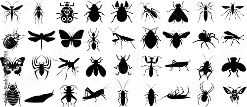 Insect silhouette, detailed black insect vector shapes on white background, perfect insects for educational content, graphic design, decorative elements © Arafat