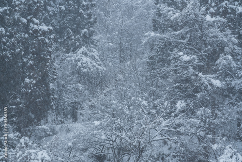 真っ白で美しい雪国の風景 © snow-aiai