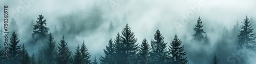A mysterious forest of fir trees in the fog © Ainur