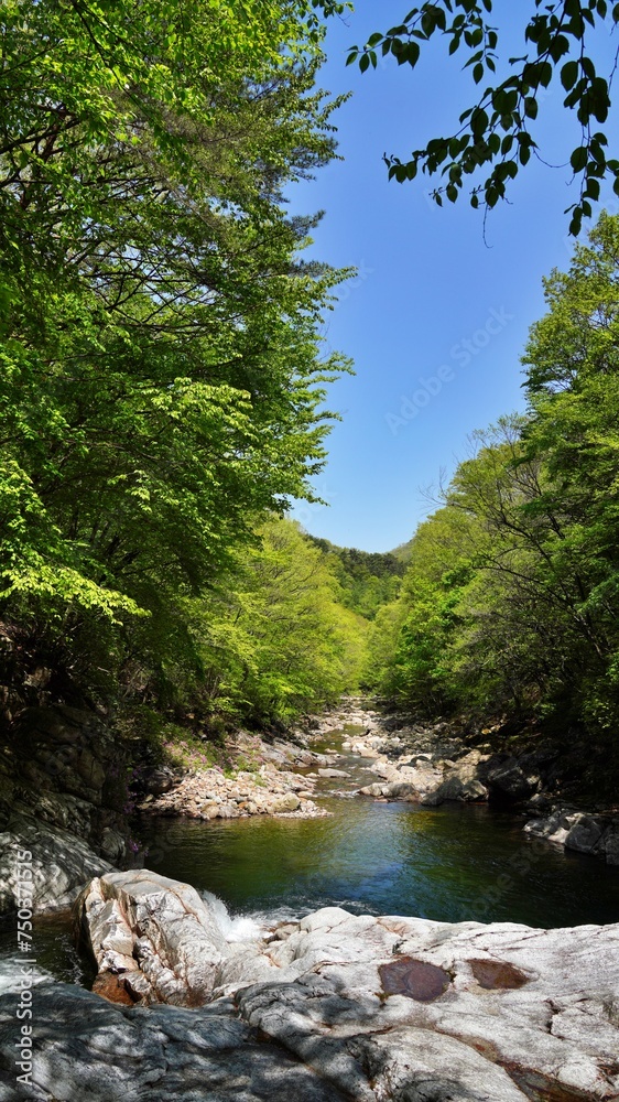 Wonderful spring scenery of Jiri Mountain in Korea Wonderful spring scenery of Jiri Mountain in Korea