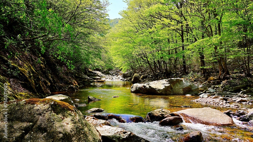 Obraz premium Wonderful spring scenery of Jiri Mountain in Korea