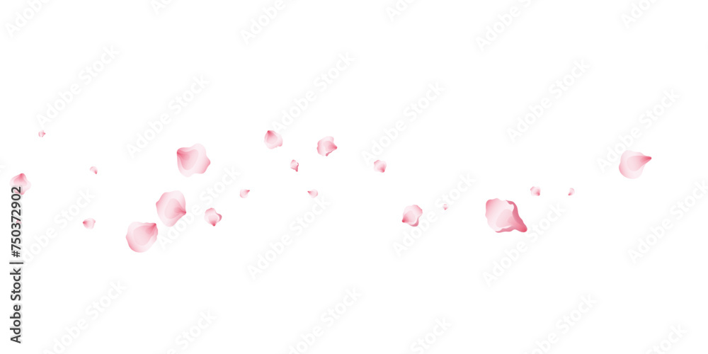 Flying pink petals transparent background. Beautiful floral overlay with lots of rose petals.