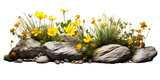 rock garden, water, grass, yellow flowers isolated on transparent background