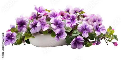 cute little miniature flower arrangement with purple flowers isolated on transparent background