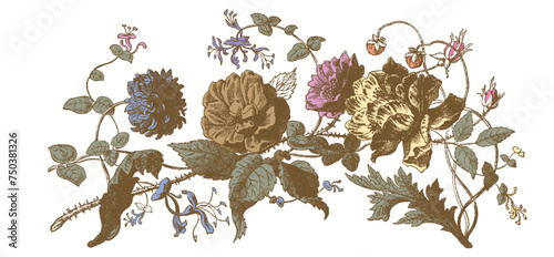 Vintage Flowers and Plants. Hand Engraved Retro Botanical Line Artwork. Botanical Herbs Collection. Vector Set of Hand Drawn Summer Florals, Herbs, Weeds and Meadows. Vintage plants illustration.