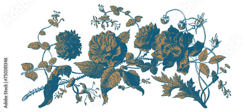 Vintage Flowers and Plants. Hand Engraved Retro Botanical Line Artwork. Botanical Herbs Collection. Vector Set of Hand Drawn Summer Florals, Herbs, Weeds and Meadows. Vintage plants illustration.