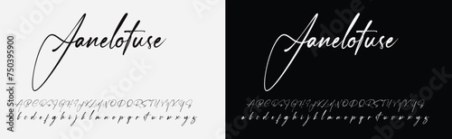 signature Font Calligraphy Logotype Script Brush Font Type Font lettering handwritten