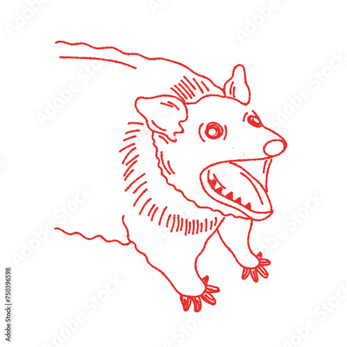 hand drawn line art vector of raccoon. weird art. opossum art, trash panda art.