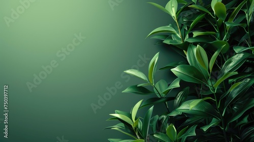 green background