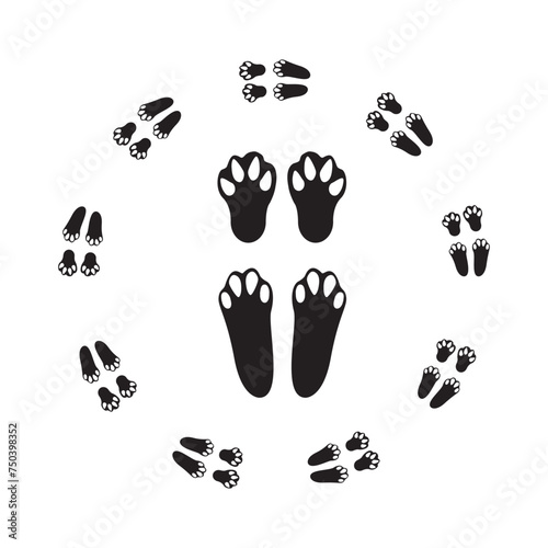 Wet or mud bunny feet prints. Rabbit paw silhouette stamps. Trace of steps of running or walking hare isolated on white background. Vector file illustration.