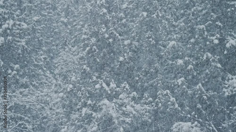雪山にしんしんと降り続ける綺麗な雪 雪山にしんしんと降り続ける綺麗な雪
