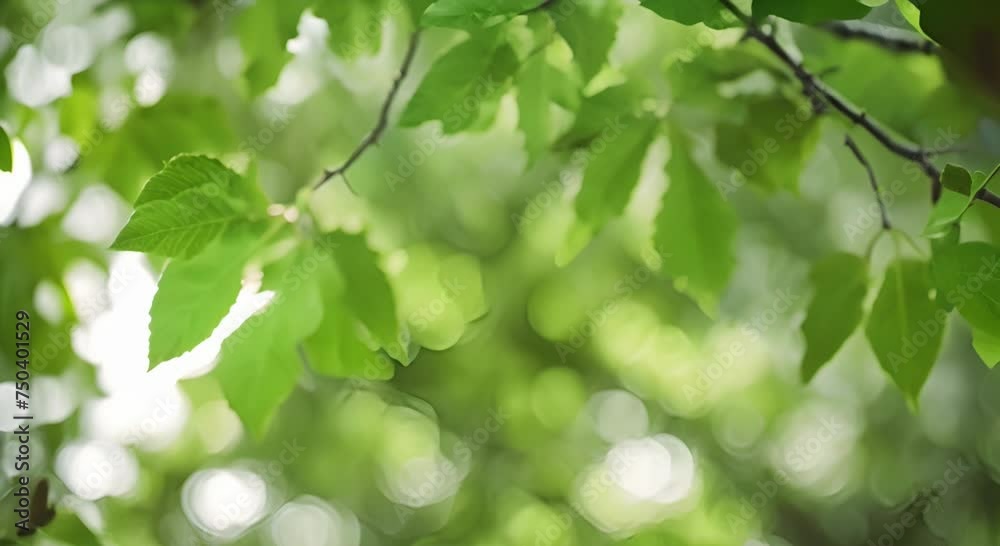 The Delicate Balance of Nature Captured in a Single Leaf The Delicate Balance of Nature Captured in a Single Leaf