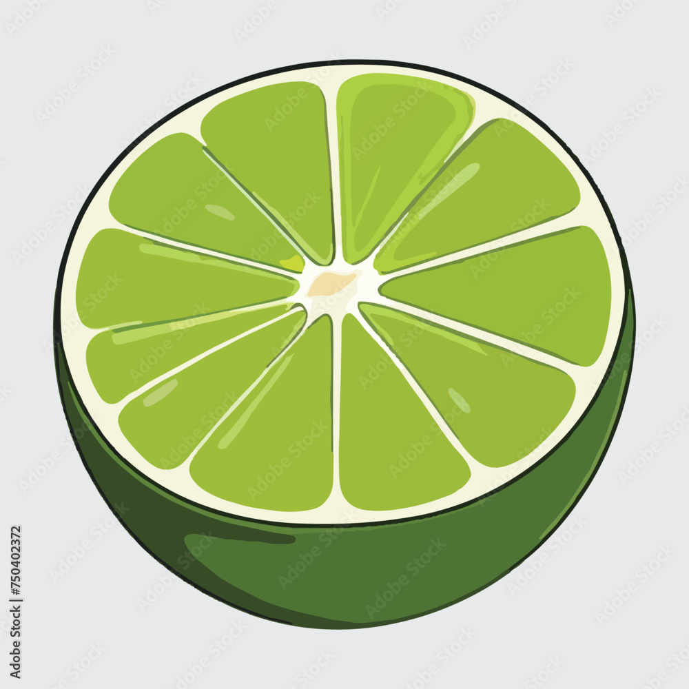 vector isolated of fresh lime vector isolated of fresh lime