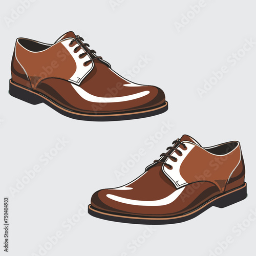 vector isolated of leather shoes