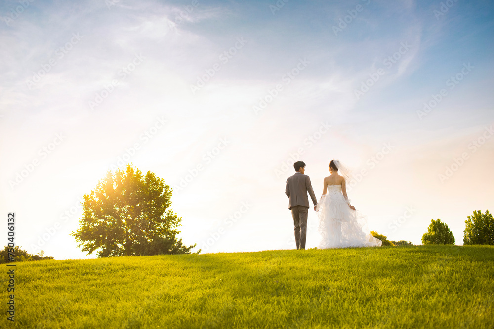Happy bride and groom walking on the grass Happy bride and groom walking on the grass
