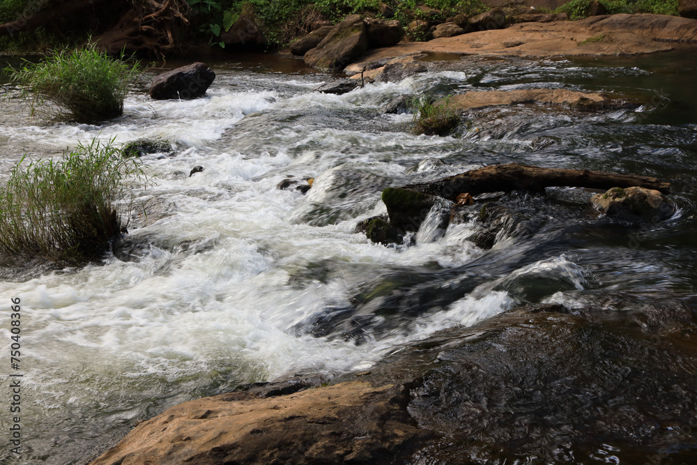 Spectacular view of wild stream enhances the beauty of Nelliyampathy Spectacular view of wild stream enhances the beauty of Nelliyampathy