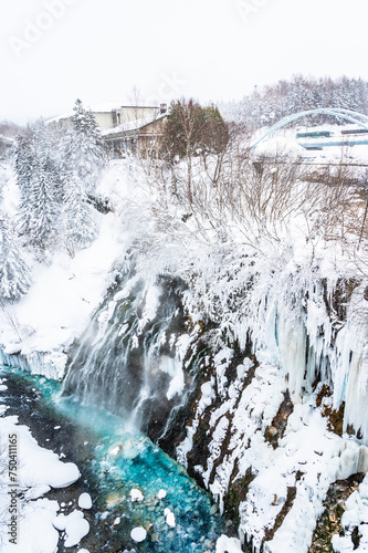 北海道美瑛冬の白ひげの滝