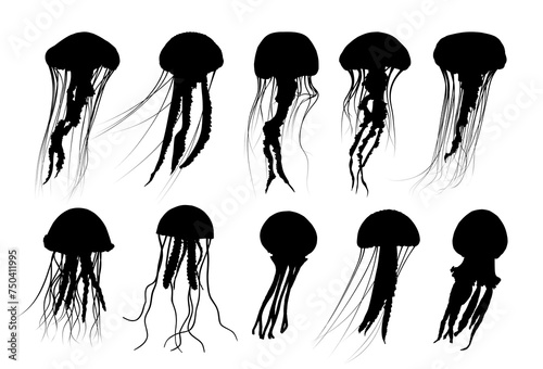 The set silhouettes of a large sea jellyfish.
 photo