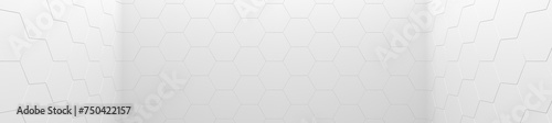 White Hexagon Tiled Room (Website Header) (3D Illustration) © Vidady