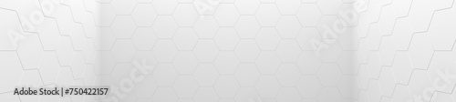 White Hexagon Tiled Room (Website Header) (3D Illustration)