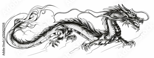 A dragon tattoo design black and white outline illustration on white background.