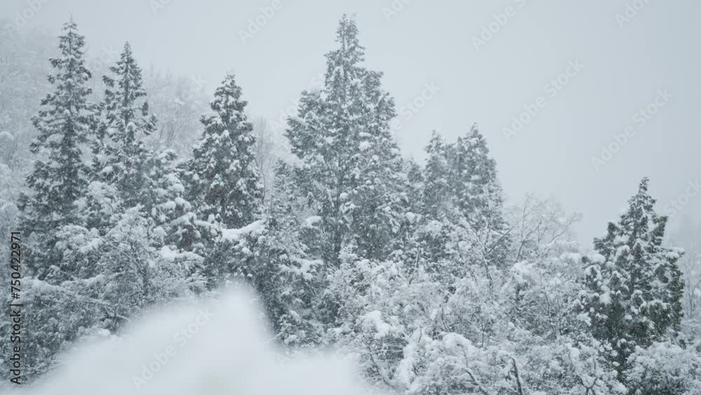 スロー映像:雪山にしんしんと降り続ける綺麗な雪 スロー映像:雪山にしんしんと降り続ける綺麗な雪