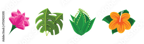 Tropical Plant with Flower and Green Leaf Foliage Vector Set