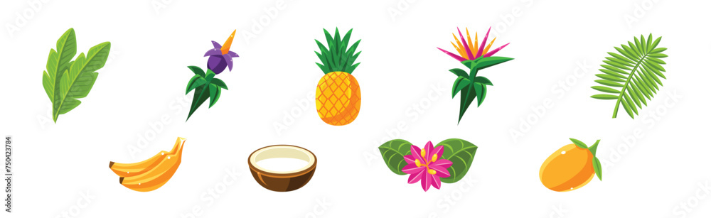 Tropical Plant with Flower, Fruit and Green Leaf Foliage Vector Set Tropical Plant with Flower, Fruit and Green Leaf Foliage Vector Set