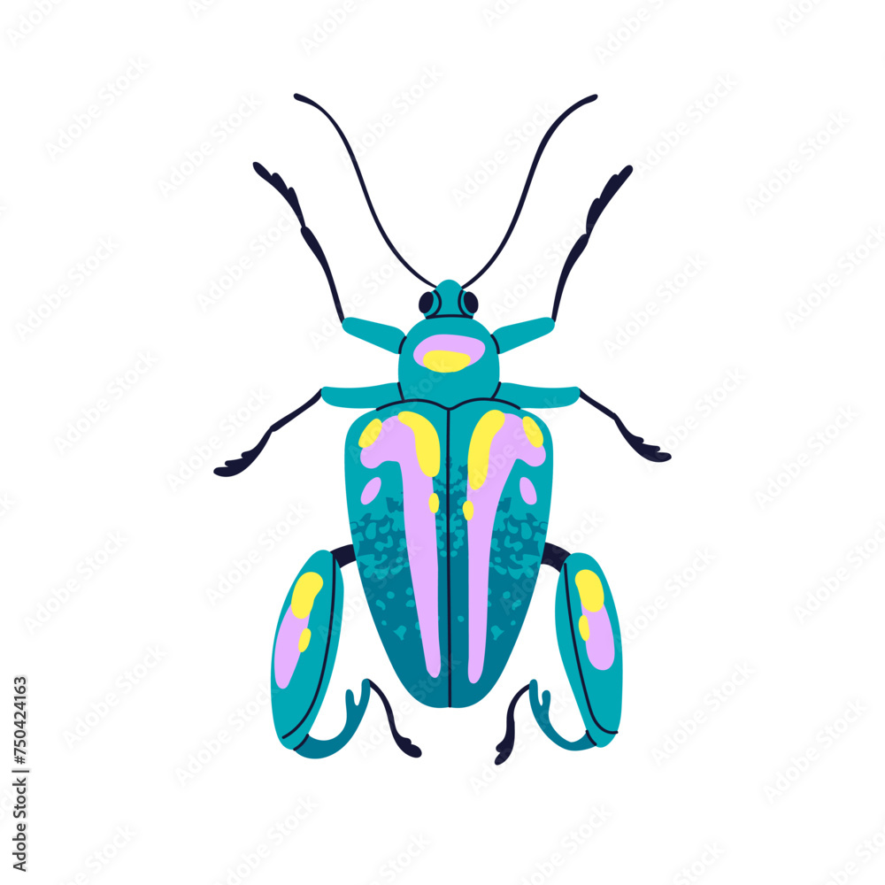 Colorful beetle. Spotted bright bug icon, top view. Fauna species ...