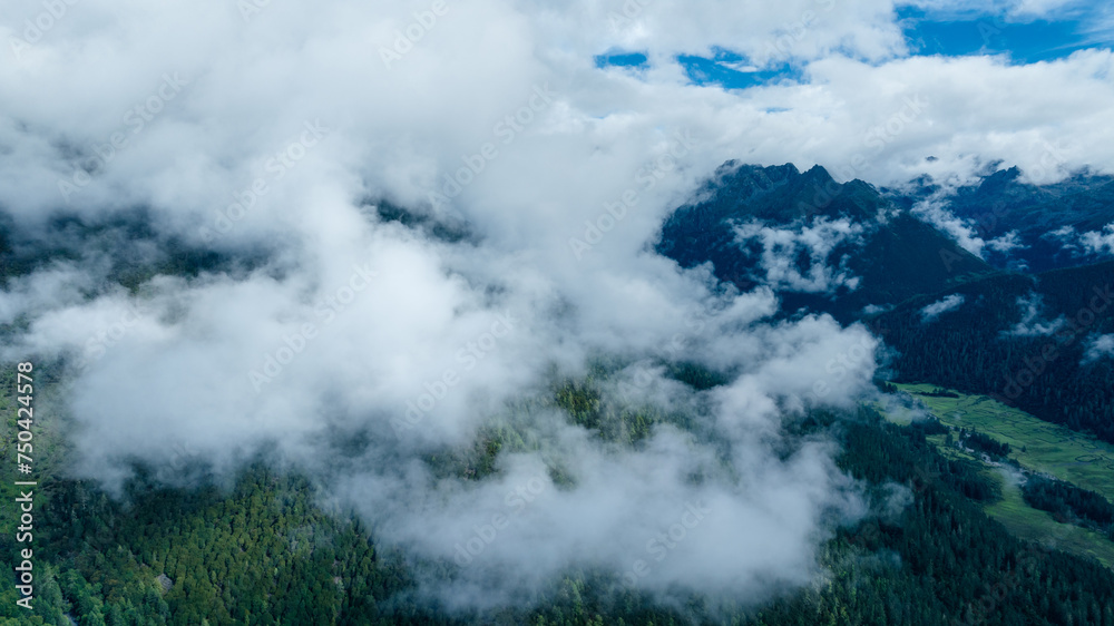 Beautiful high altitude forest mountain landscape in the fog