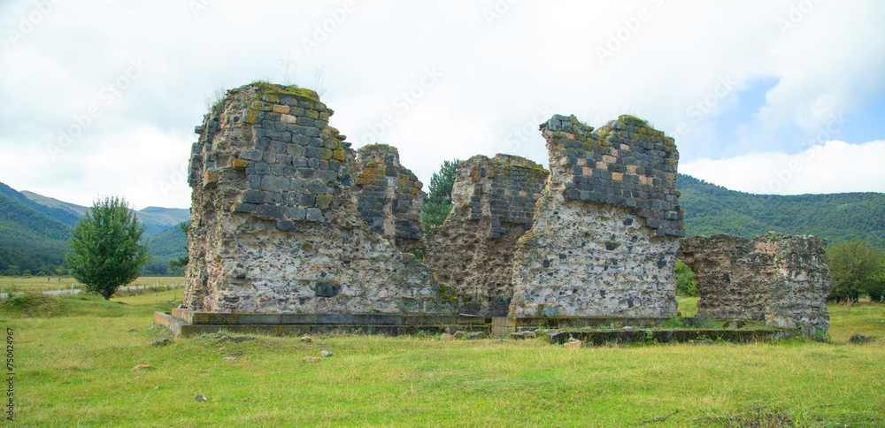 Old destroyed building in nature.