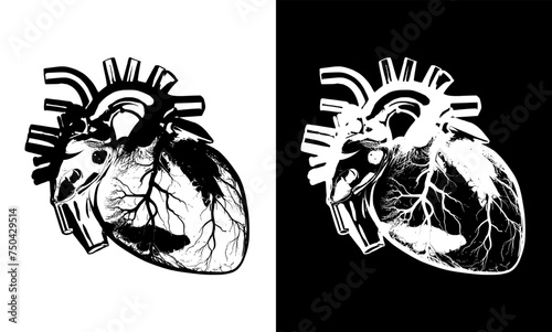 human heart anatomy vector illustration. heart beat, health care, cardiology, artery ,cardiac, pulse, heart surgery, concept. vector or flat illustration eps. 