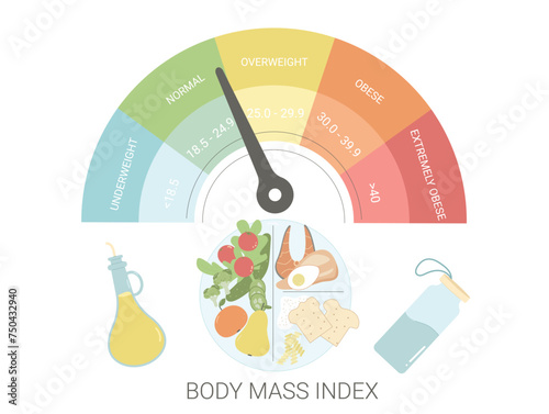 BMI infographic with healthy eating plate symbols. Body mass index with food meal. Building balanced diet. Chart indicator of weight control. Vector flat illustration